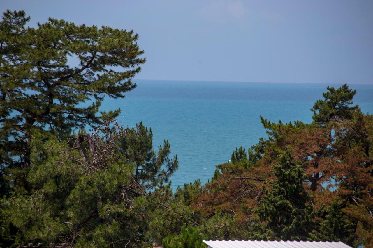 Chveni Ezo Boutique Hotel Kobuleti Εξωτερικό φωτογραφία